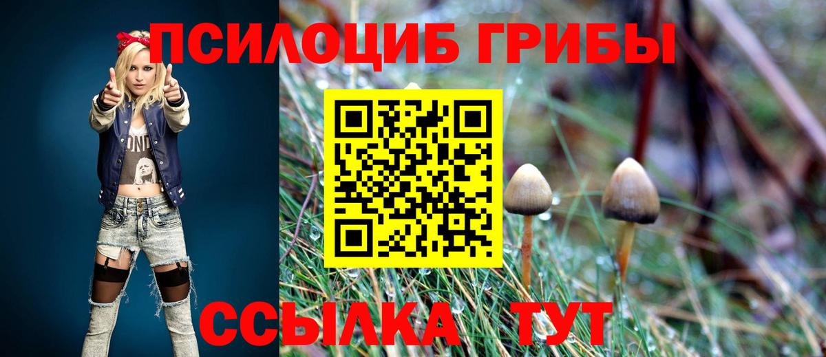 Псилоцибиновые грибы MAGIC MUSHROOMS Отрадный