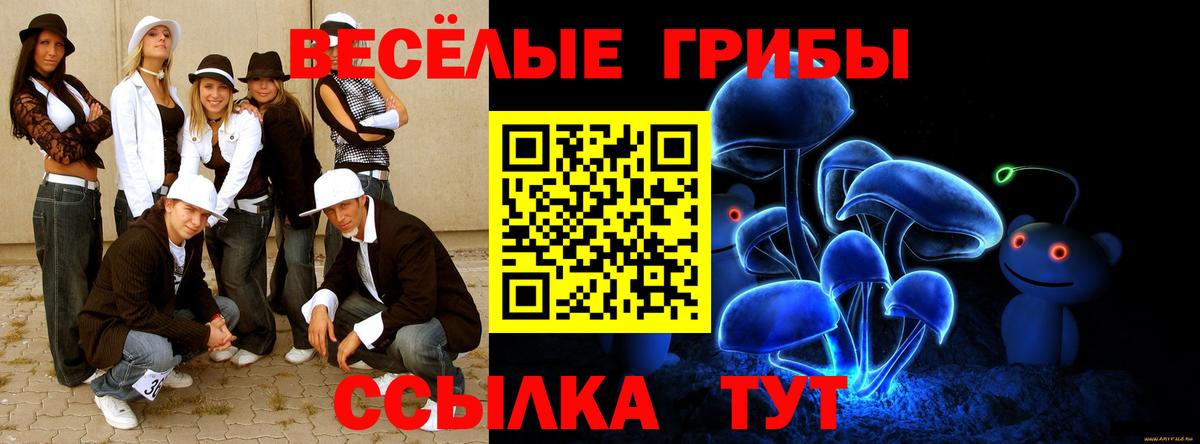 Отрадный  Галлюциногенные грибы мицелий  Вход с VPN  Галлюциногенные грибы Cubensis 